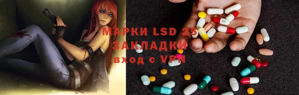 дмт Вяземский