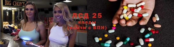 дмт Вяземский