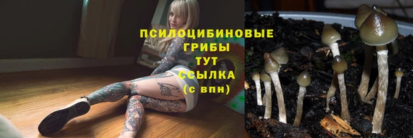 spice Вязьма