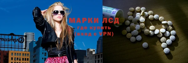 дмт Вяземский