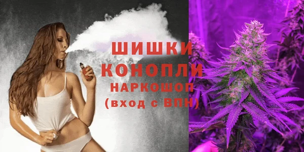дмт Вяземский
