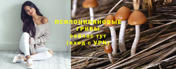 дмт Вяземский