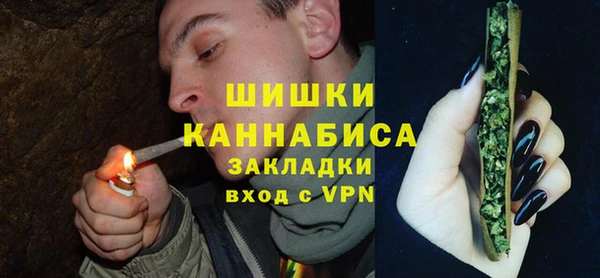 дмт Вяземский